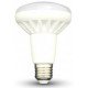 R80 LED Light Bulbs